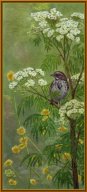 TJ040 - Song Sparrow